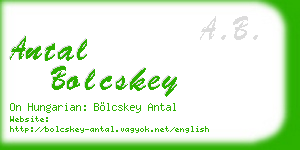 antal bolcskey business card